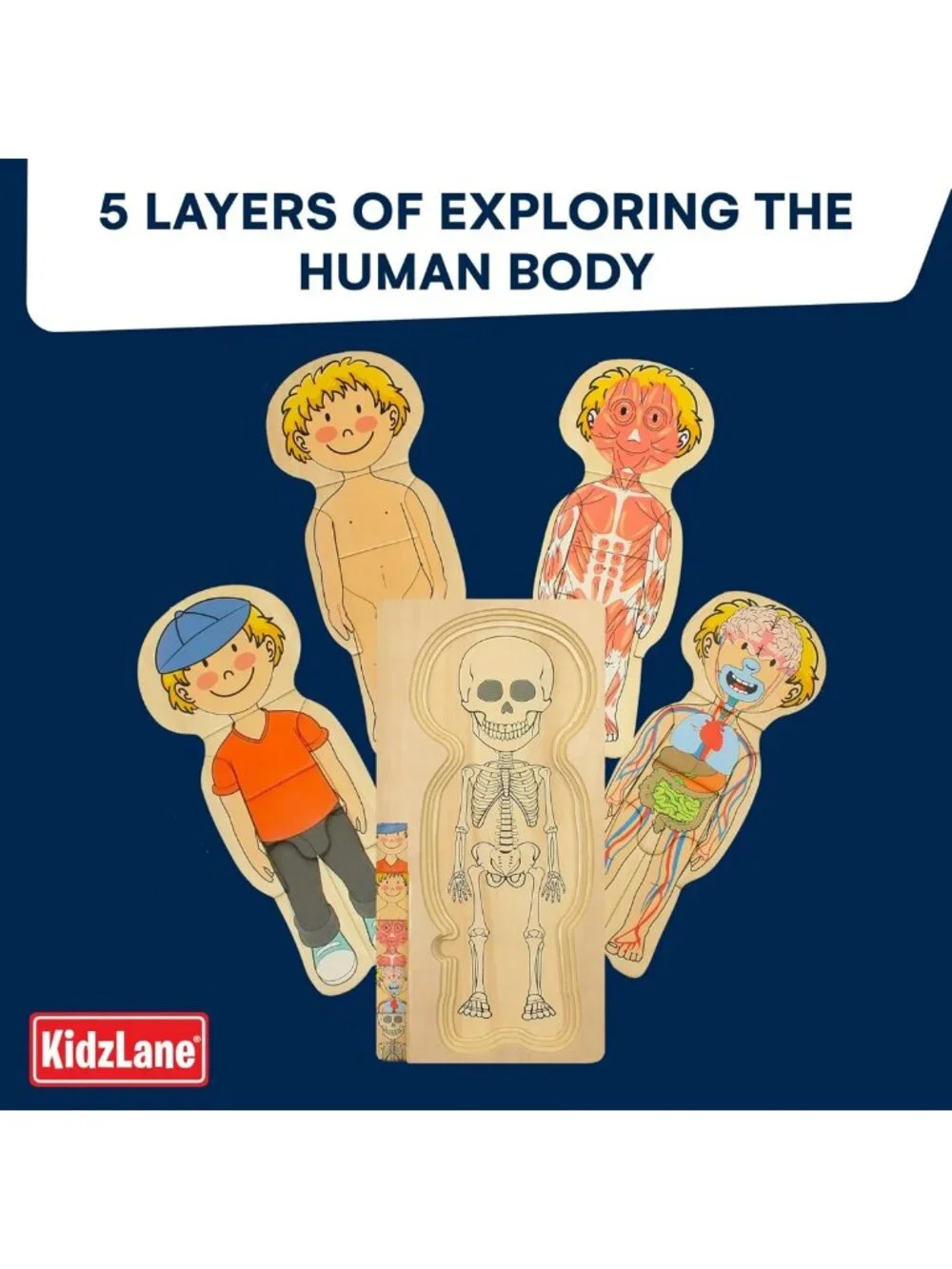 29-Piece Wooden Anatomy Puzzle for Toddlers - Educational Skeleton Toy for Kids